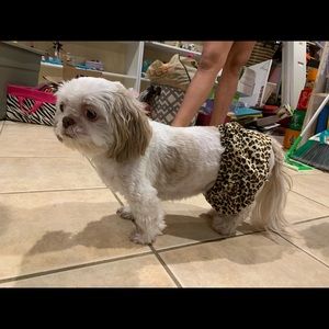 Meet your Posher, Diane